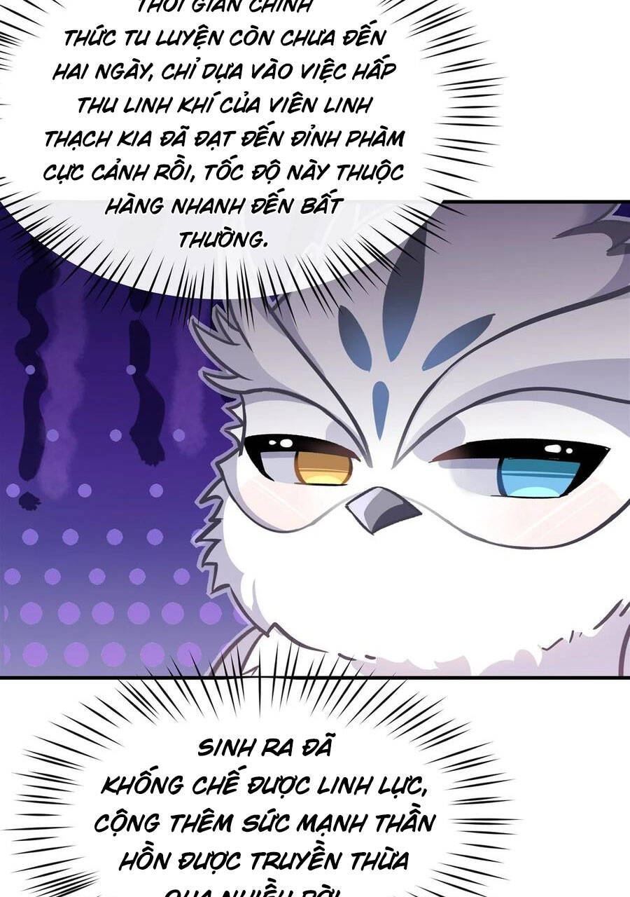 Các Nữ Đồ Đệ Của Ta Đều Là Chư Thiên Đại Lão Tương Lai Chap 198 - Next Chap 199