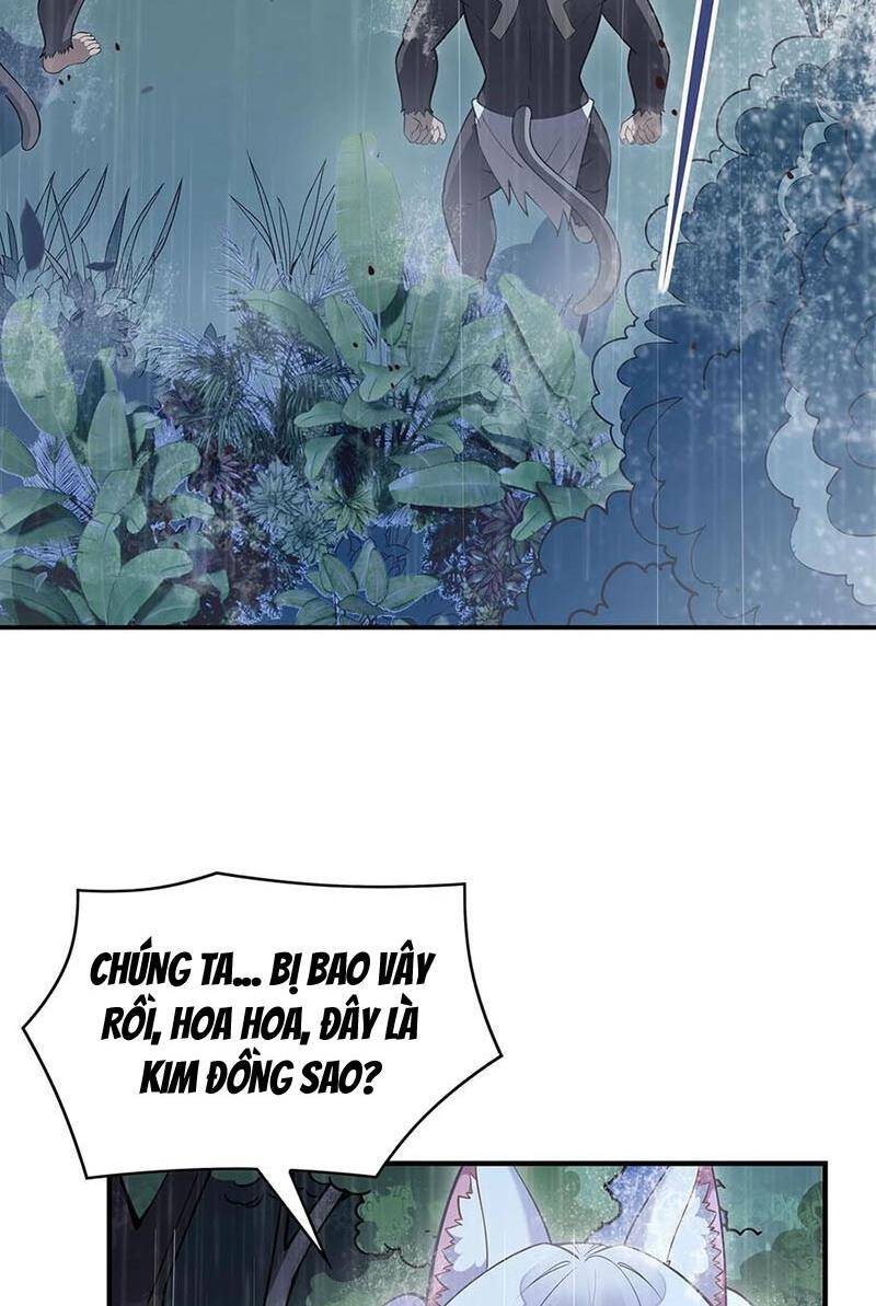 Các Nữ Đồ Đệ Của Ta Đều Là Chư Thiên Đại Lão Tương Lai Chap 227 - Next Chap 228