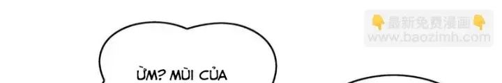 Các Nữ Đồ Đệ Của Ta Đều Là Chư Thiên Đại Lão Tương Lai Chap 270 - Next Chap 271