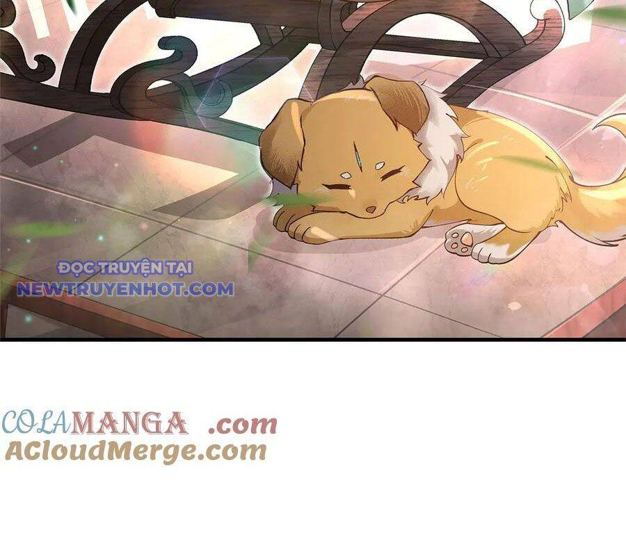 Các Nữ Đồ Đệ Của Ta Đều Là Chư Thiên Đại Lão Tương Lai Chap 322 - Next Chap 323