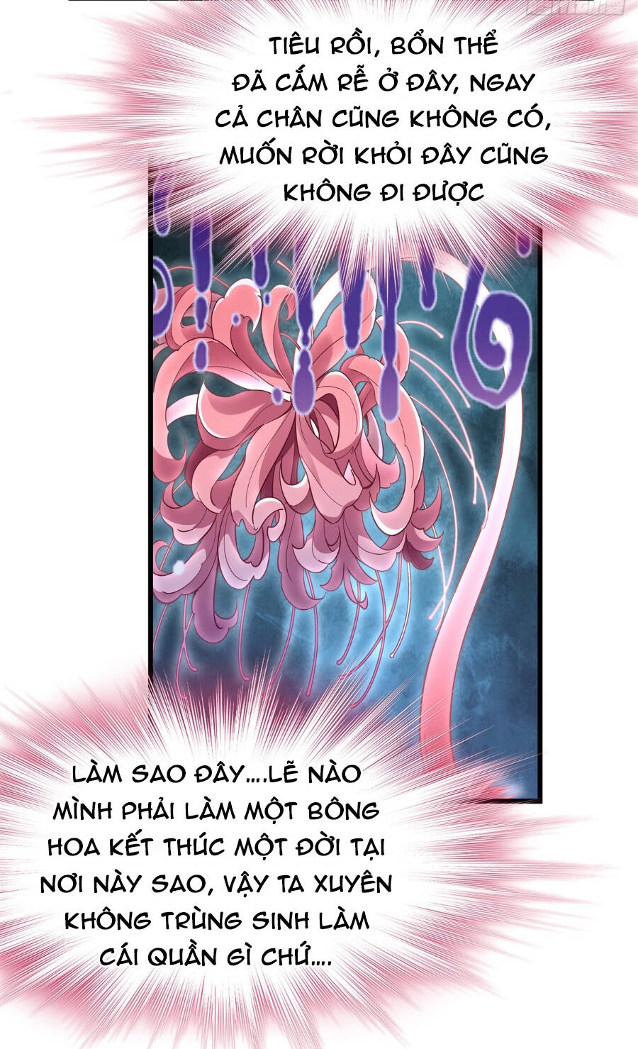 Các Nữ Đồ Đệ Của Ta Đều Là Chư Thiên Đại Lão Tương Lai Chap 92 - Next Chap 93