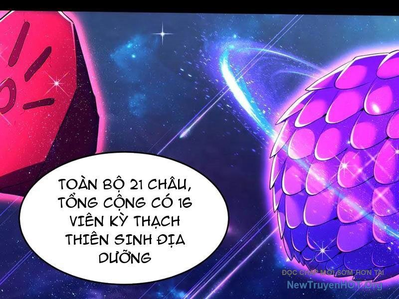 Các Nữ Sư Tôn Đều Muốn Chiếm Hữu Ta Chap 22 - Next Chap 23