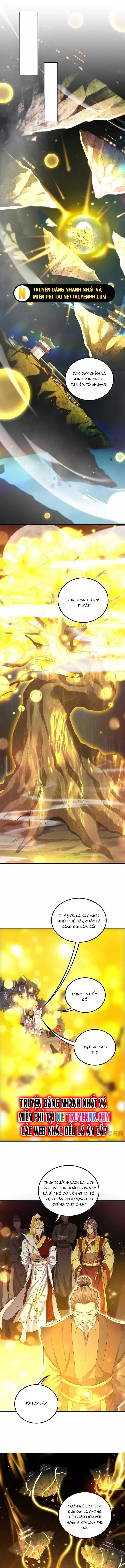 Các Nữ Sư Tôn Đều Muốn Chiếm Hữu Ta Chap 8 - Next Chap 9