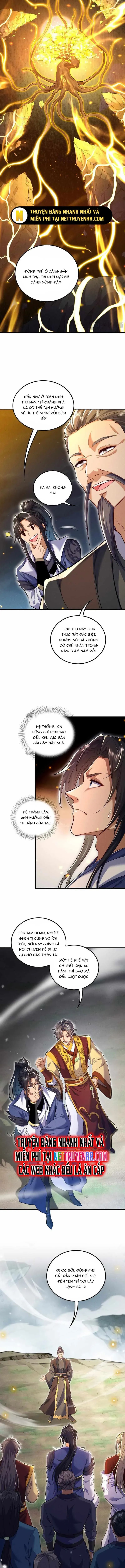 Các Nữ Sư Tôn Đều Muốn Chiếm Hữu Ta Chap 8 - Next Chap 9