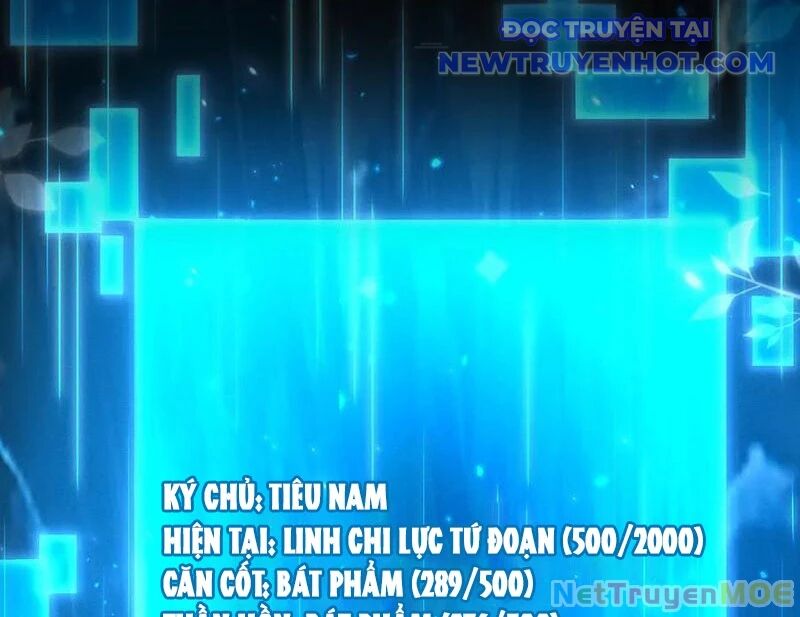 Các Nữ Sư Tôn Đều Muốn Chiếm Hữu Ta Chap 9 - Next Chap 10