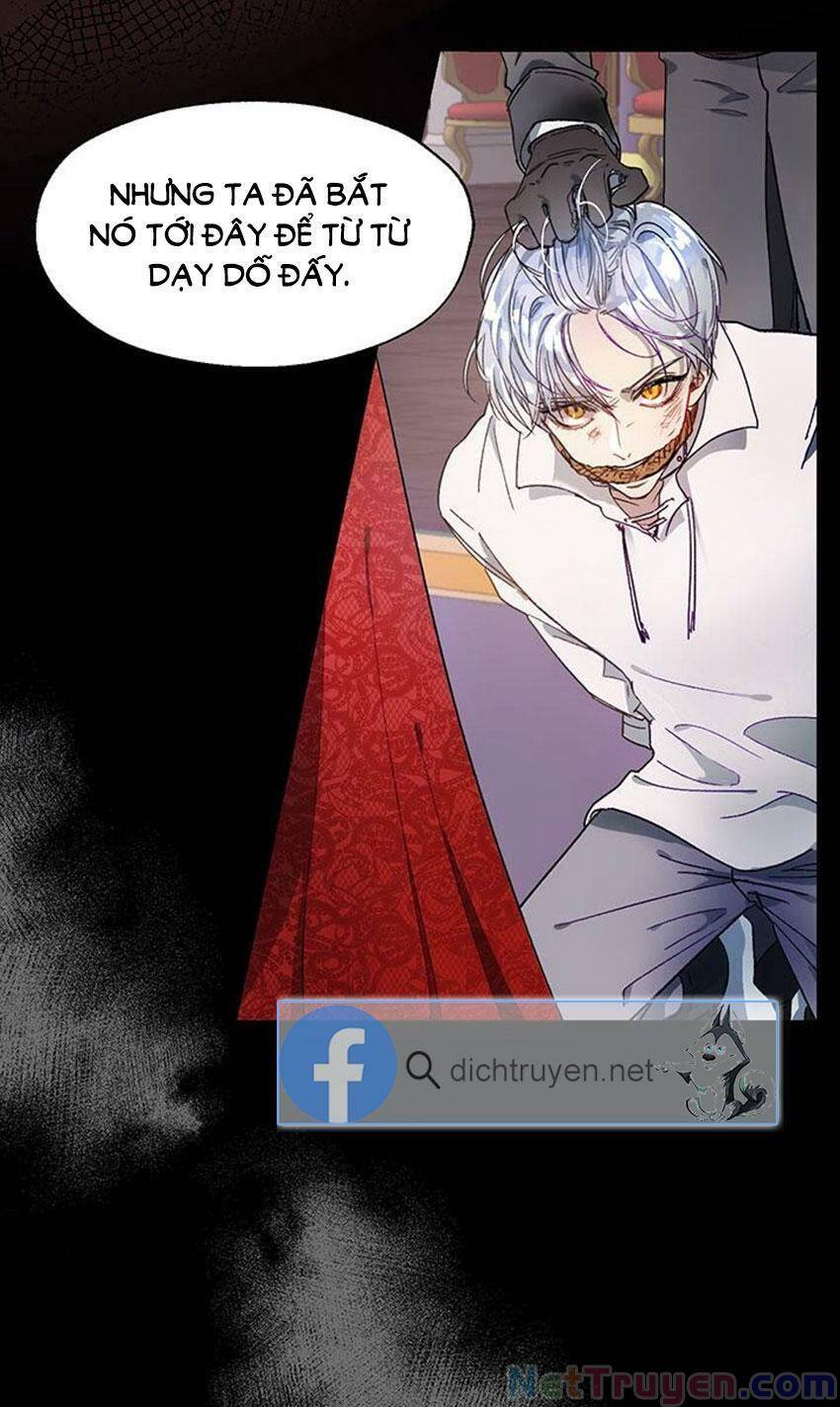 Cách Bảo Vệ Anh Trai Của Nữ Chính Chap 1 - Next Chap 2