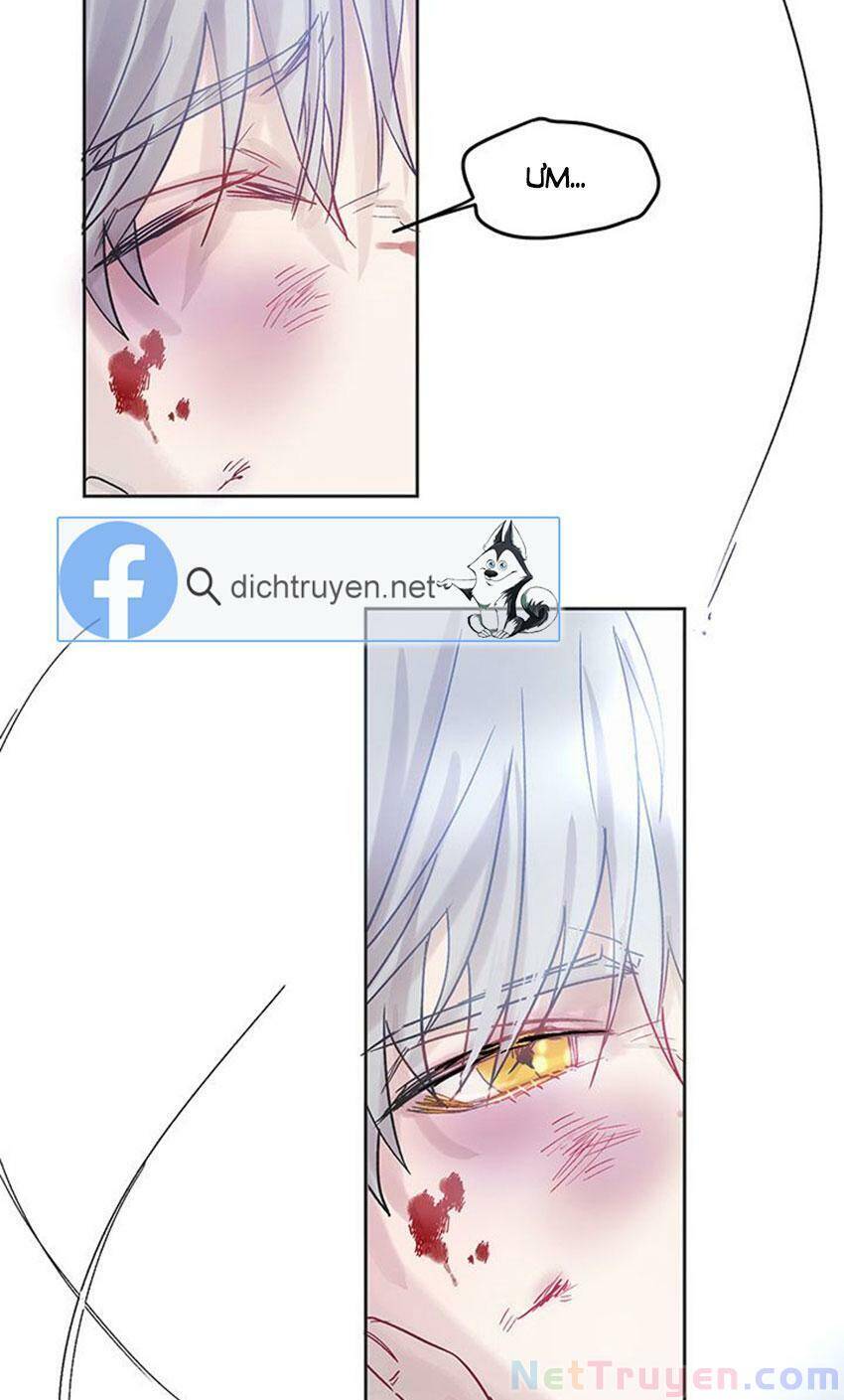Cách Bảo Vệ Anh Trai Của Nữ Chính Chap 2 - Next Chap 3