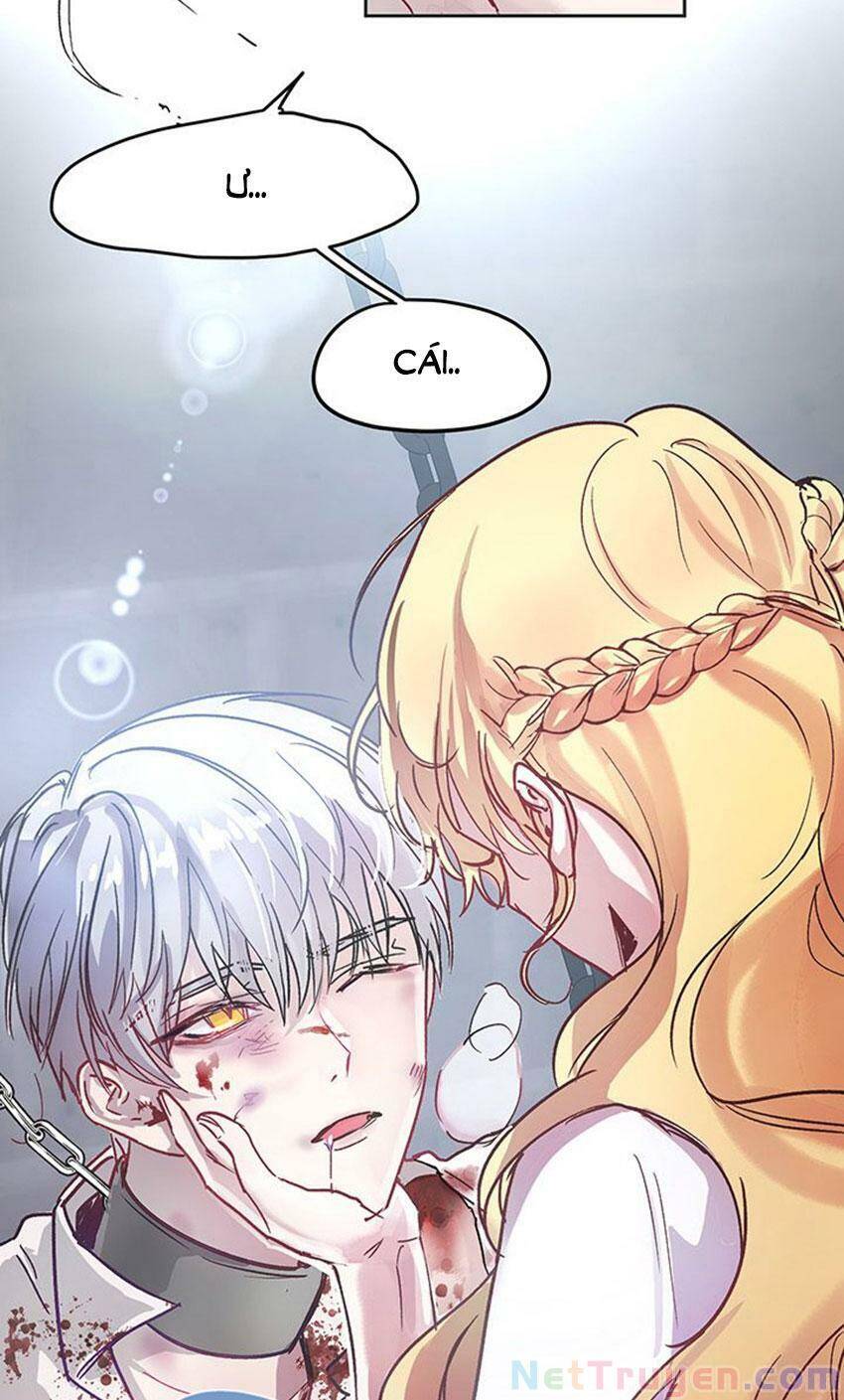 Cách Bảo Vệ Anh Trai Của Nữ Chính Chap 2 - Next Chap 3