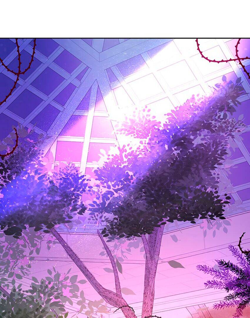 Cách Bảo Vệ Anh Trai Của Nữ Chính Chap 5 - Next Chap 6