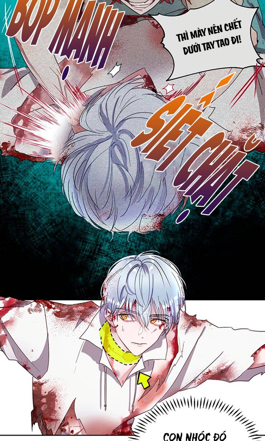 Cách Bảo Vệ Anh Trai Của Nữ Chính Chap 5 - Next Chap 6