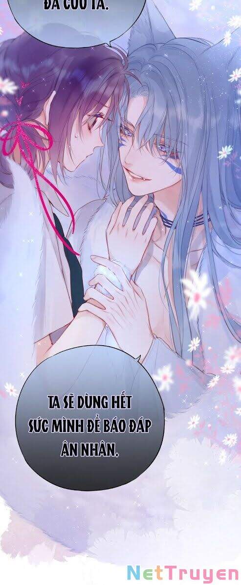 Cạm Bẫy Của Hồ Ly Chap 2 - Next Chap 3