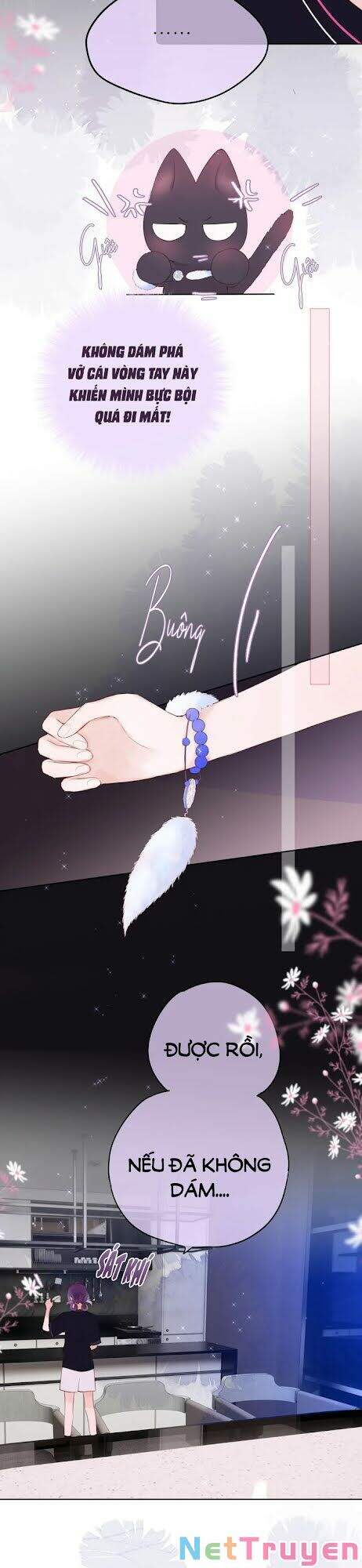Cạm Bẫy Của Hồ Ly Chap 2 - Next Chap 3