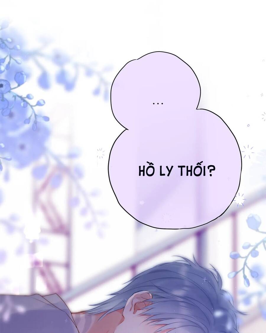 Cạm Bẫy Của Hồ Ly Chap 412 - Next Chap 413