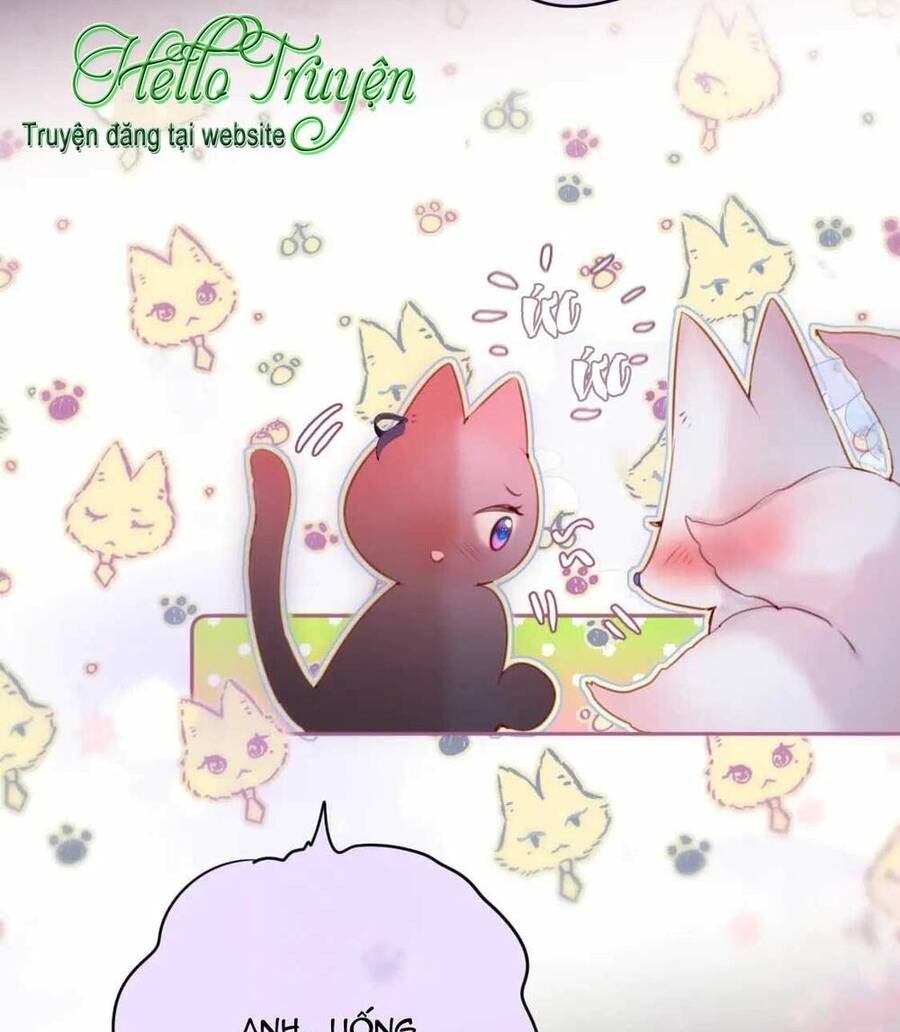 Cạm Bẫy Của Hồ Ly Chap 65 - Next Chap 66