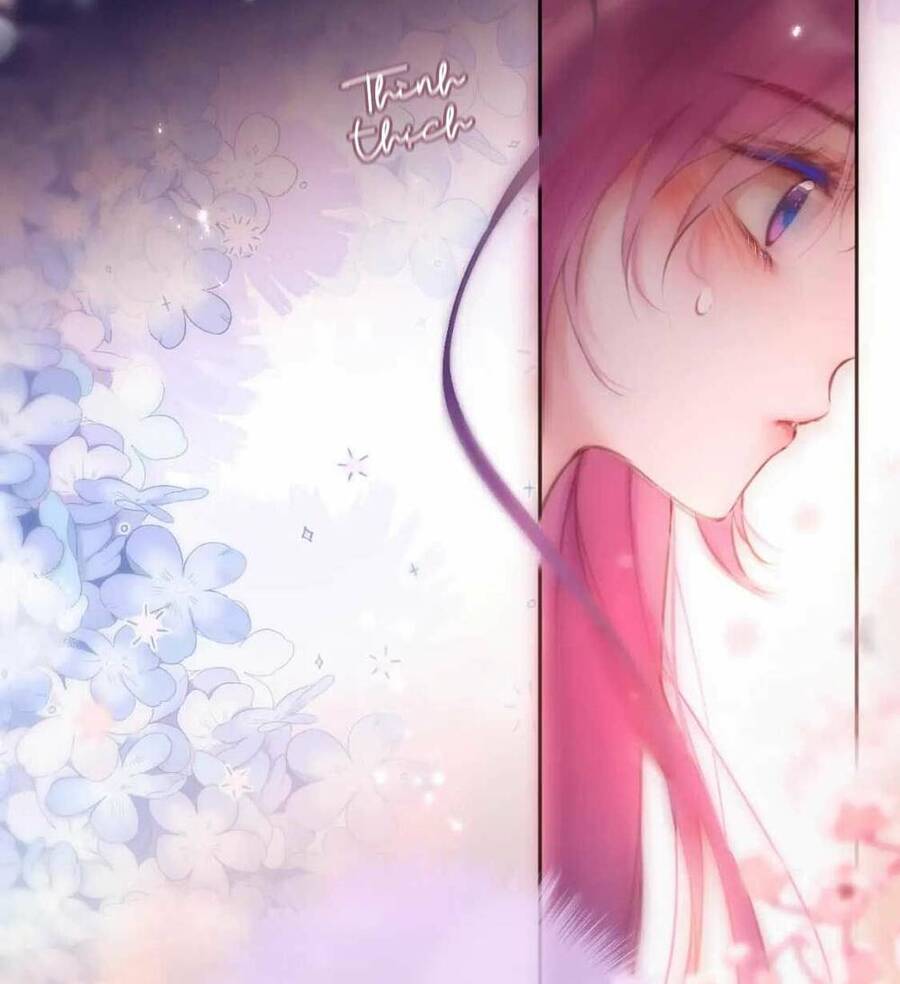 Cạm Bẫy Của Hồ Ly Chap 65 - Next Chap 66