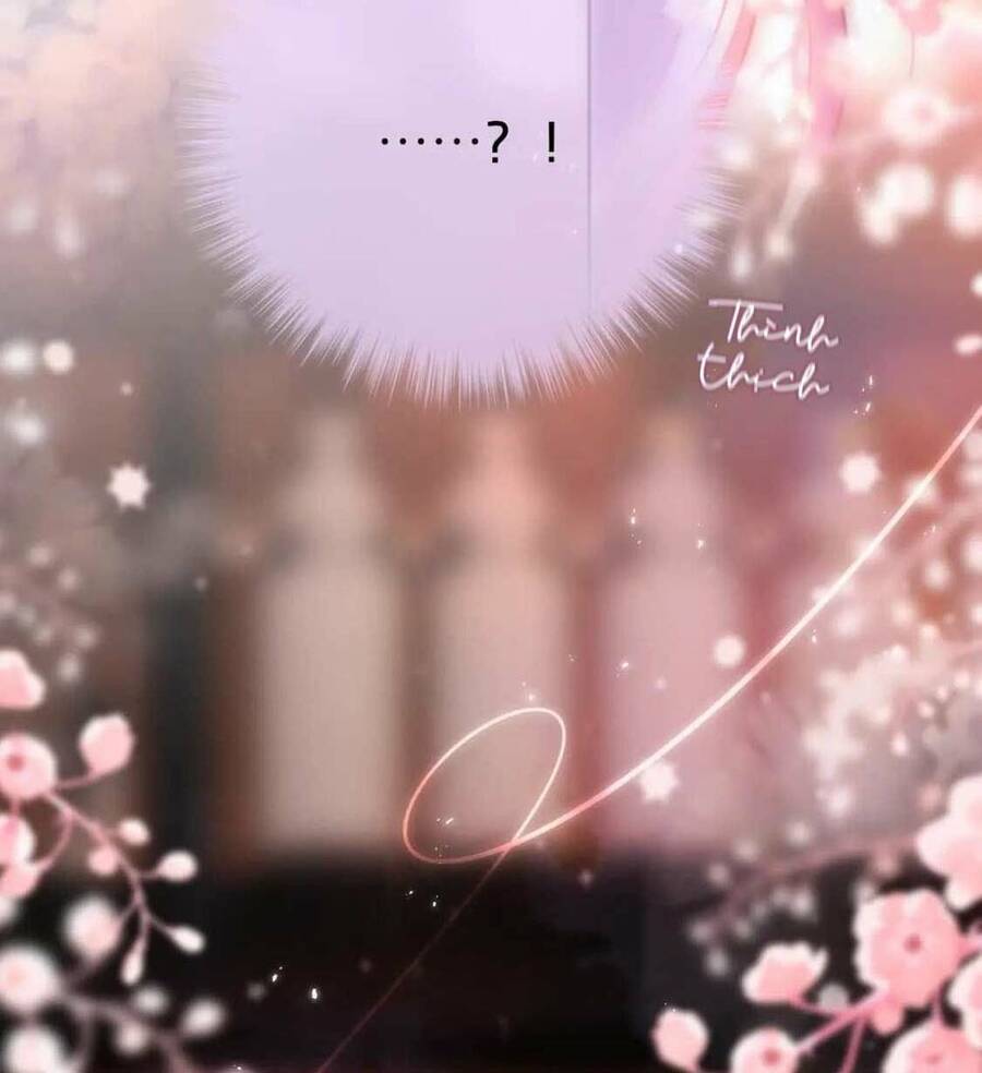 Cạm Bẫy Của Hồ Ly Chap 65 - Next Chap 66