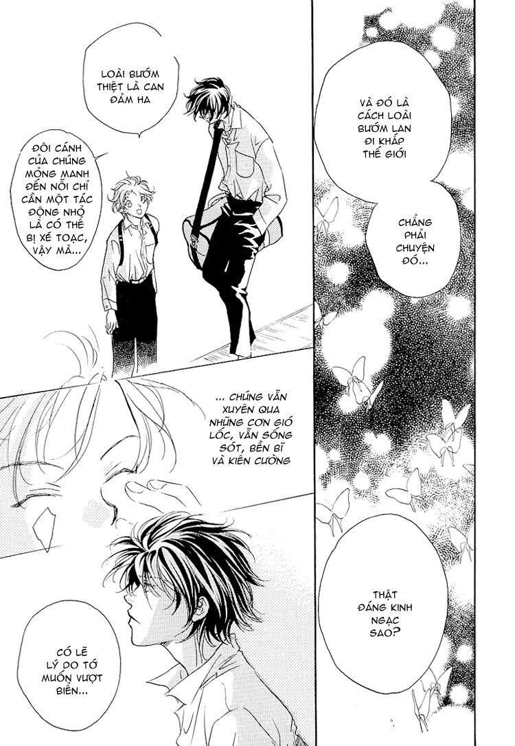 Cánh Bướm Nhỏ Cô Độc Chap 1 - Next Chap 2