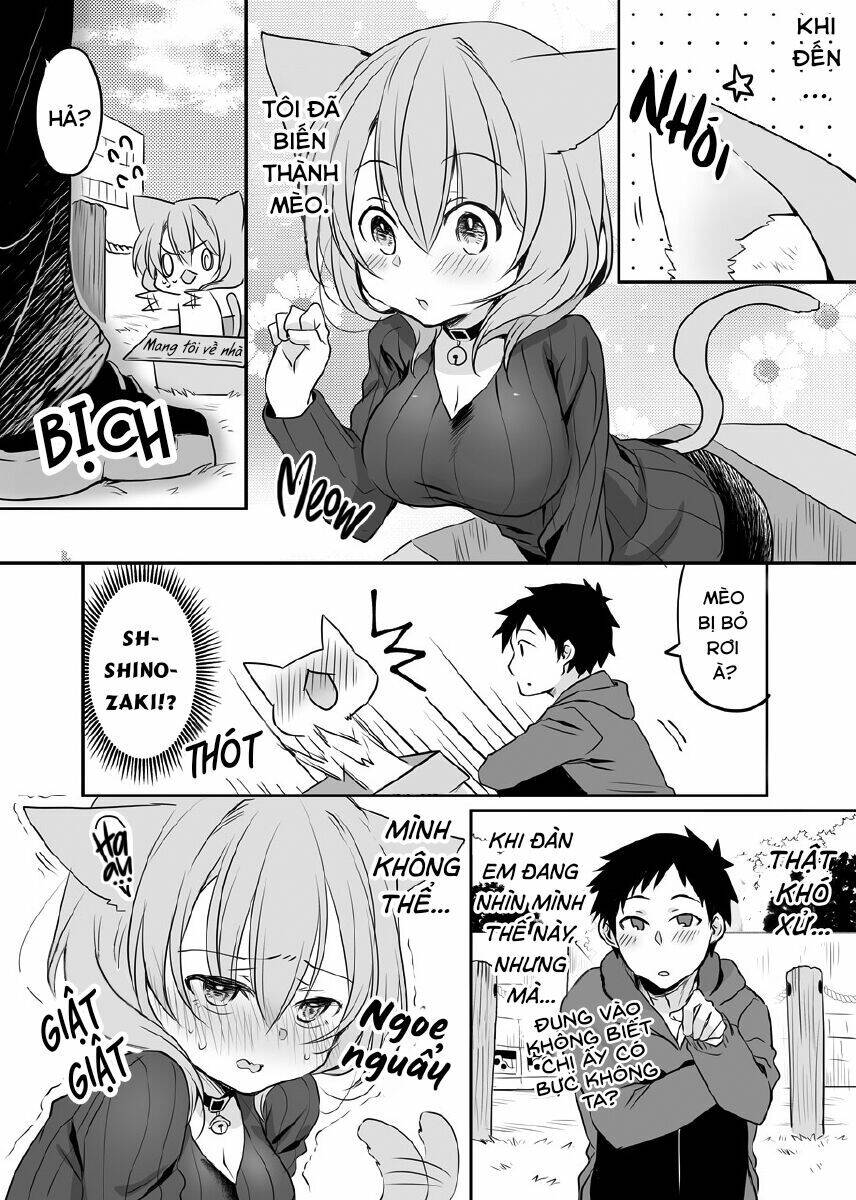 Câu Chuyện Về Tiền Bối Nhỏ Nhắn Ở Chỗ Làm Của Tôi Chap 31 - Next Chap 32