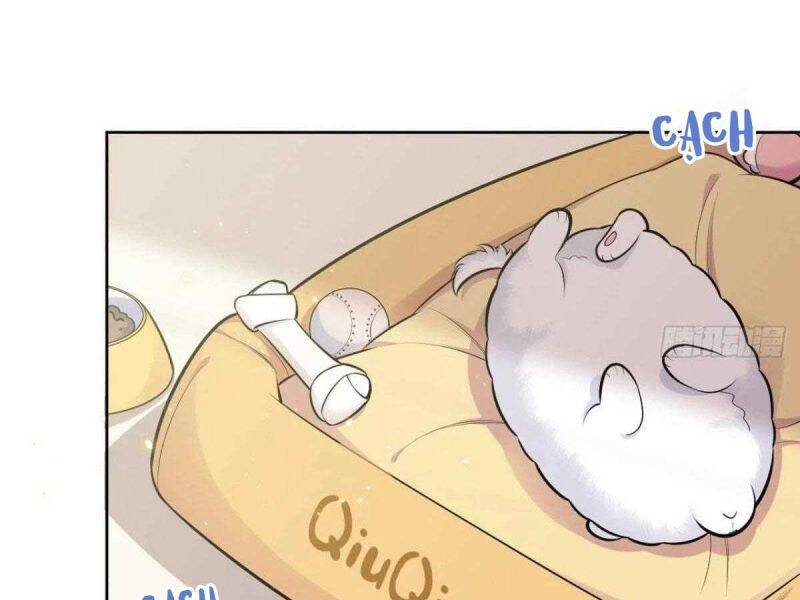Cha Vợ Đại Nhân Là Bà Xã Chap 163 - Next Chap 164