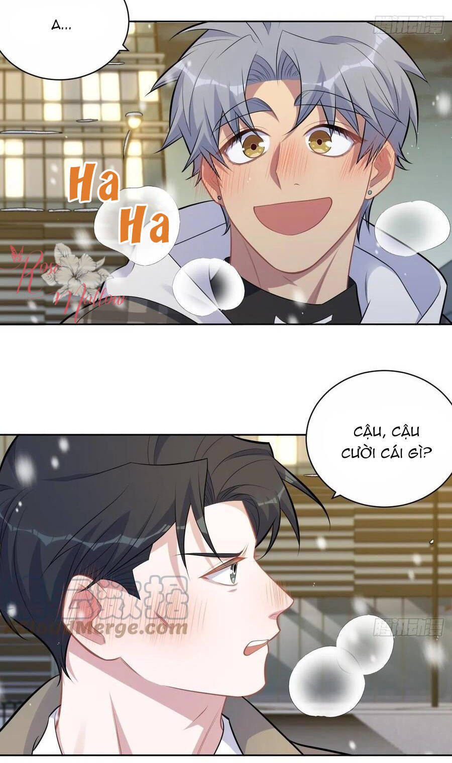 Cha Vợ Đại Nhân Là Bà Xã Chap 176 - Next Chap 177