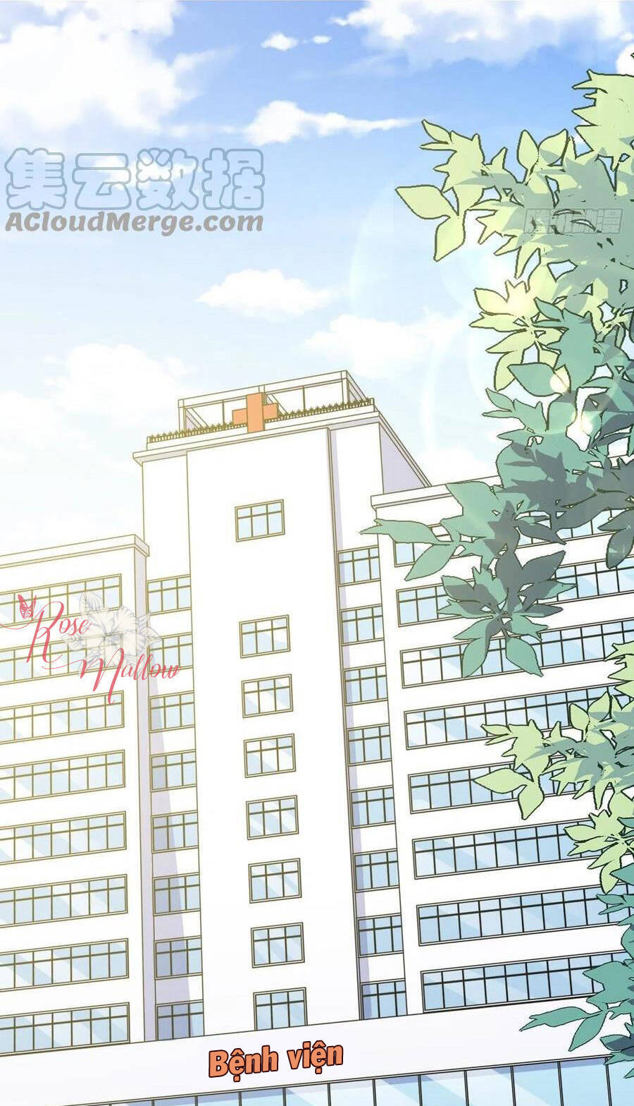 Cha Vợ Đại Nhân Là Bà Xã Chap 1802 - Next Chap 1803