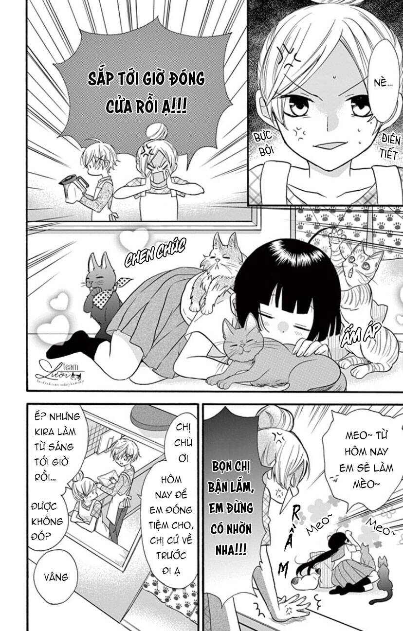 Chàng Rể Giả Nhân Giả Nghĩa Chap 19 - Next Chap 20