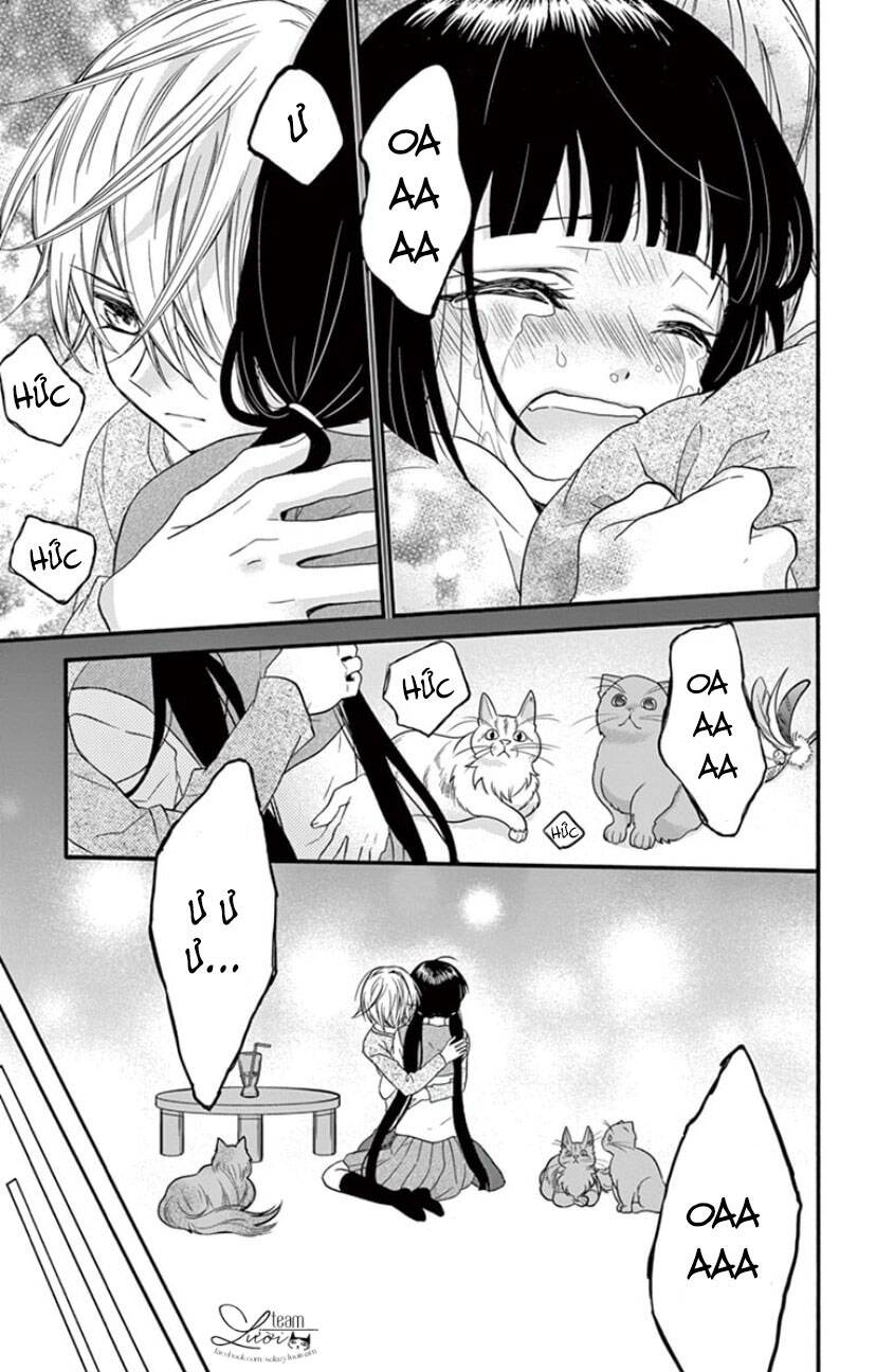 Chàng Rể Giả Nhân Giả Nghĩa Chap 19 - Next Chap 20