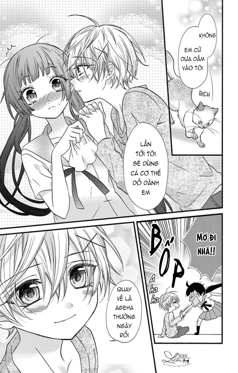 Chàng Rể Giả Nhân Giả Nghĩa Chap 19 - Next Chap 20