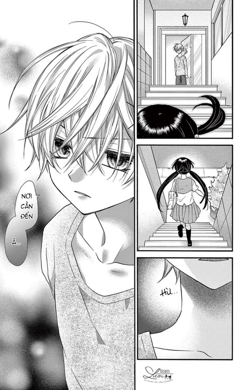Chàng Rể Giả Nhân Giả Nghĩa Chap 19 - Next Chap 20