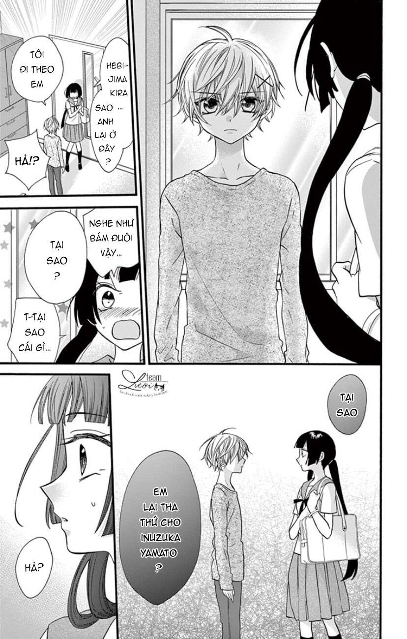 Chàng Rể Giả Nhân Giả Nghĩa Chap 20 - Next Chap 21