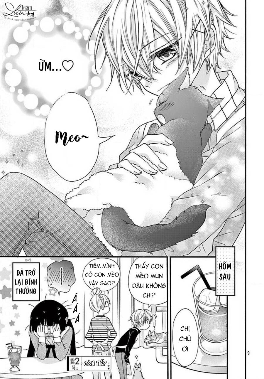 Chàng Rể Giả Nhân Giả Nghĩa Chap 205 - Next Chap 206