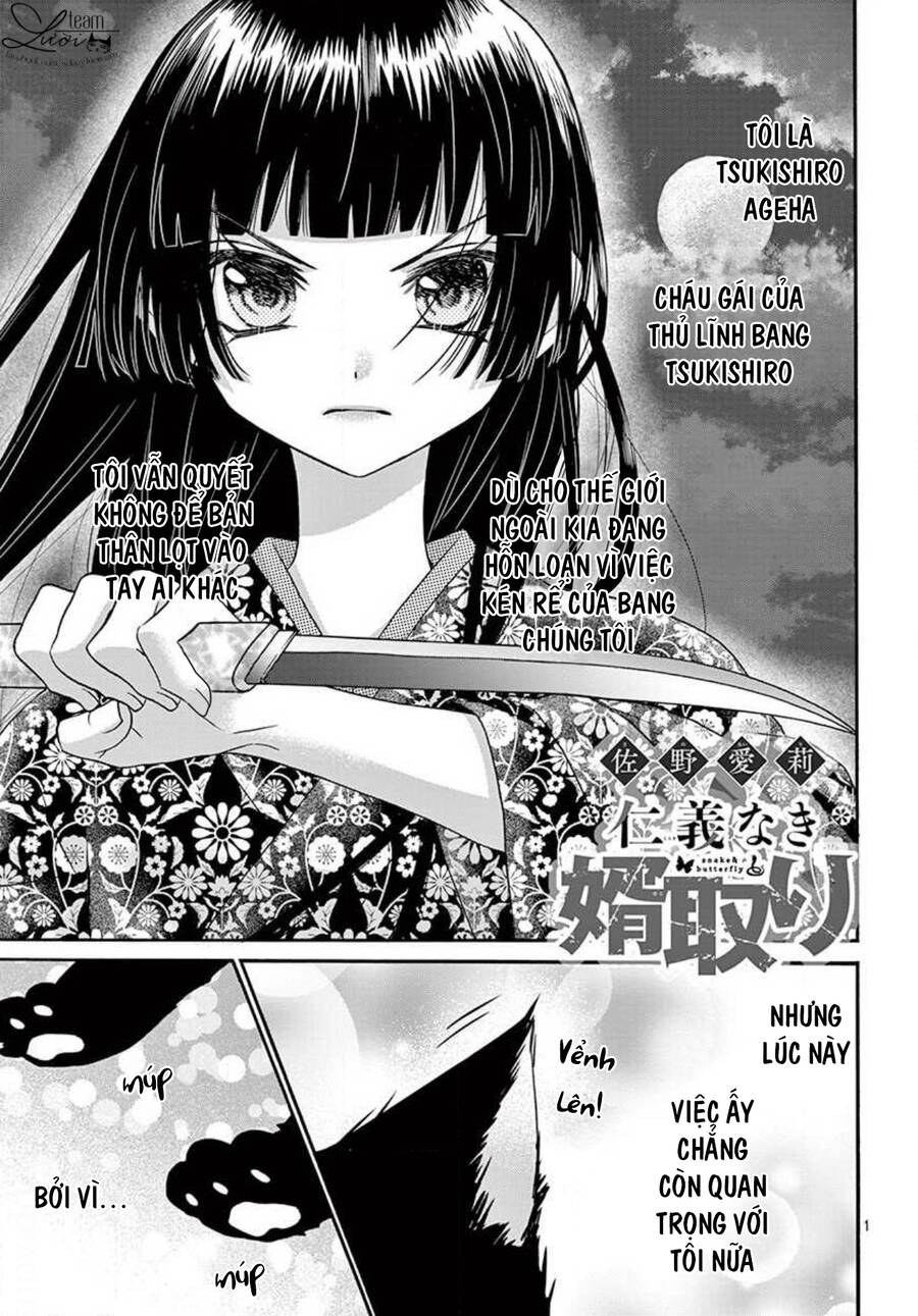Chàng Rể Giả Nhân Giả Nghĩa Chap 205 - Next Chap 206