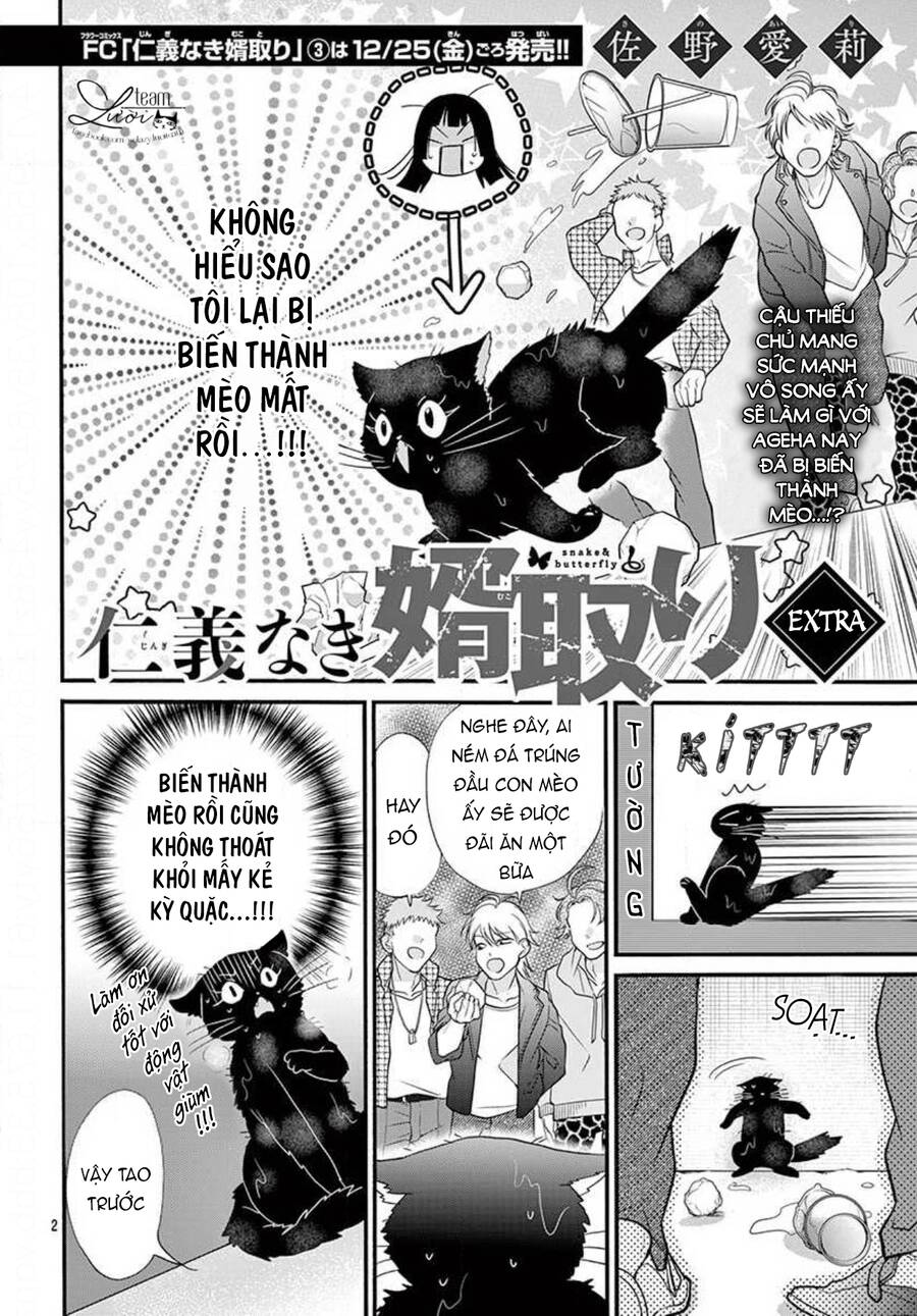 Chàng Rể Giả Nhân Giả Nghĩa Chap 205 - Next Chap 206