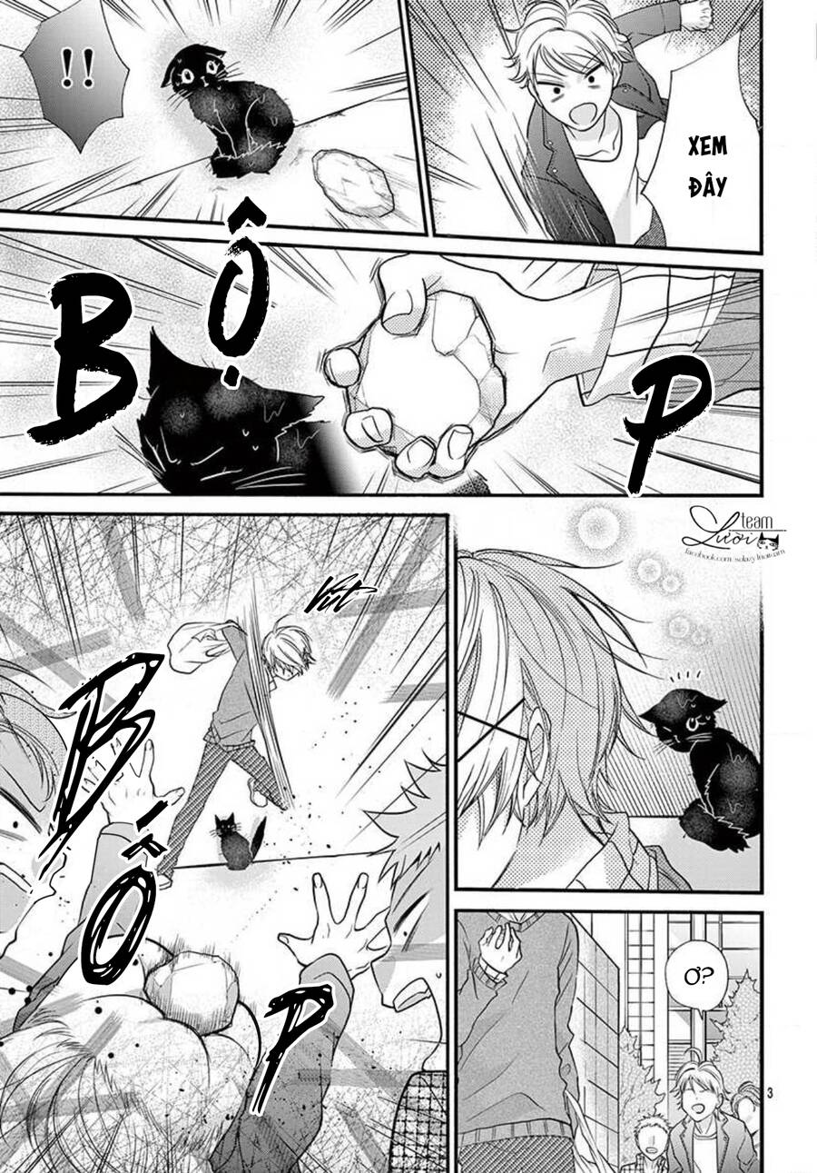 Chàng Rể Giả Nhân Giả Nghĩa Chap 205 - Next Chap 206