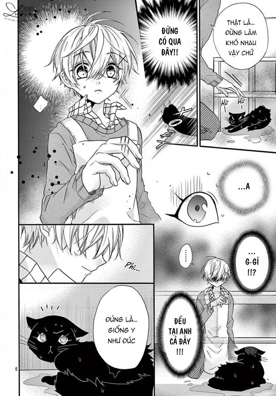 Chàng Rể Giả Nhân Giả Nghĩa Chap 205 - Next Chap 206