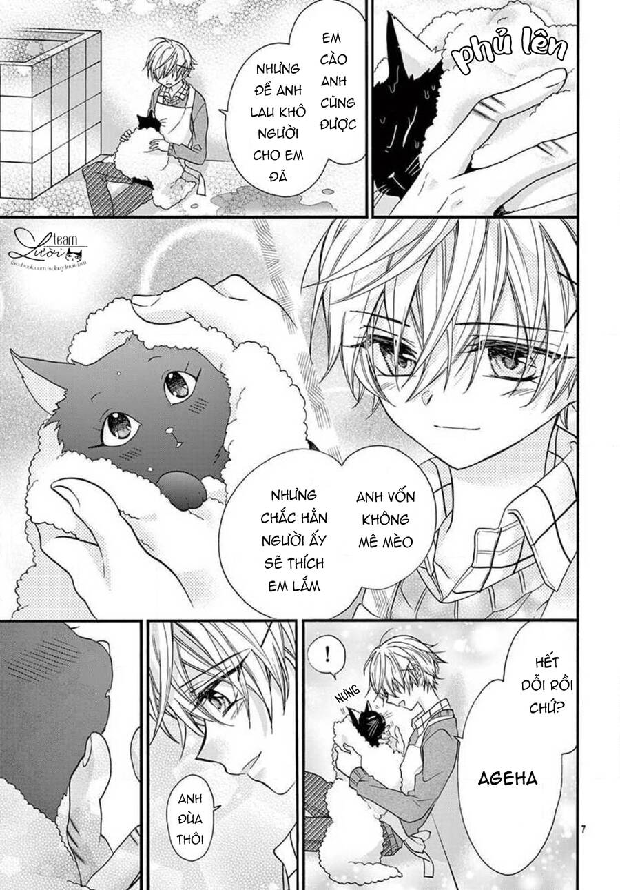 Chàng Rể Giả Nhân Giả Nghĩa Chap 205 - Next Chap 206