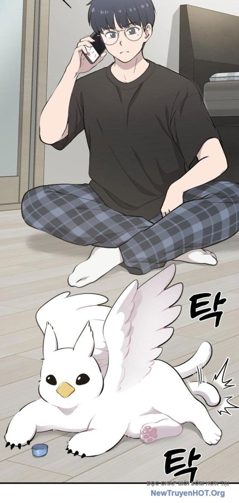 Chào Nhé, Chú Vẹt Mắt Tròn Griffin! Chap 1 - Next Chap 2