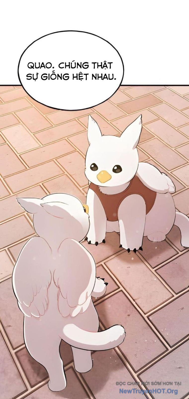 Chào Nhé, Chú Vẹt Mắt Tròn Griffin! Chap 2 - Next Chap 3