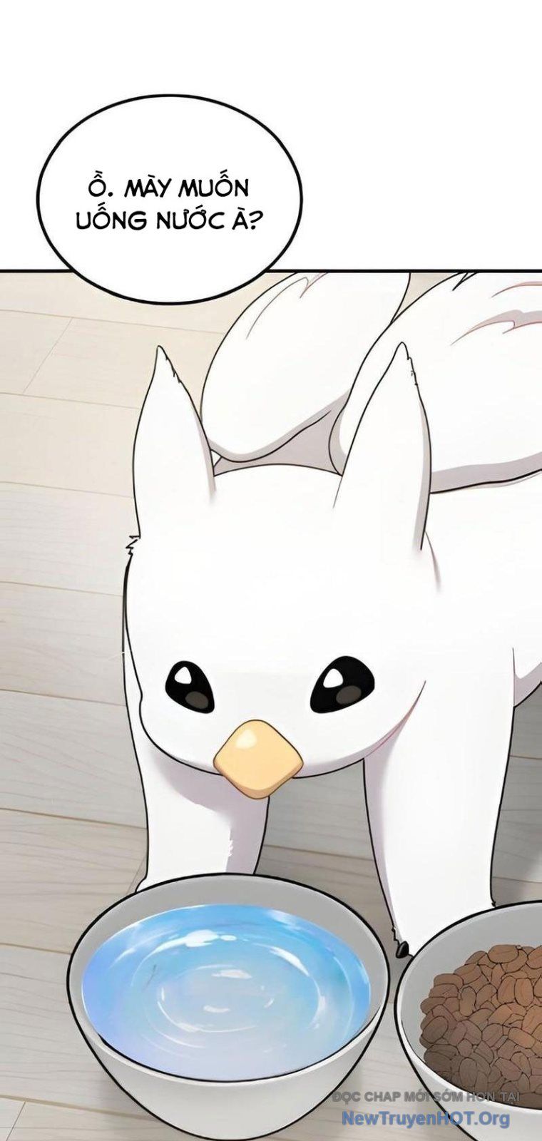 Chào Nhé, Chú Vẹt Mắt Tròn Griffin! Chap 2 - Next Chap 3