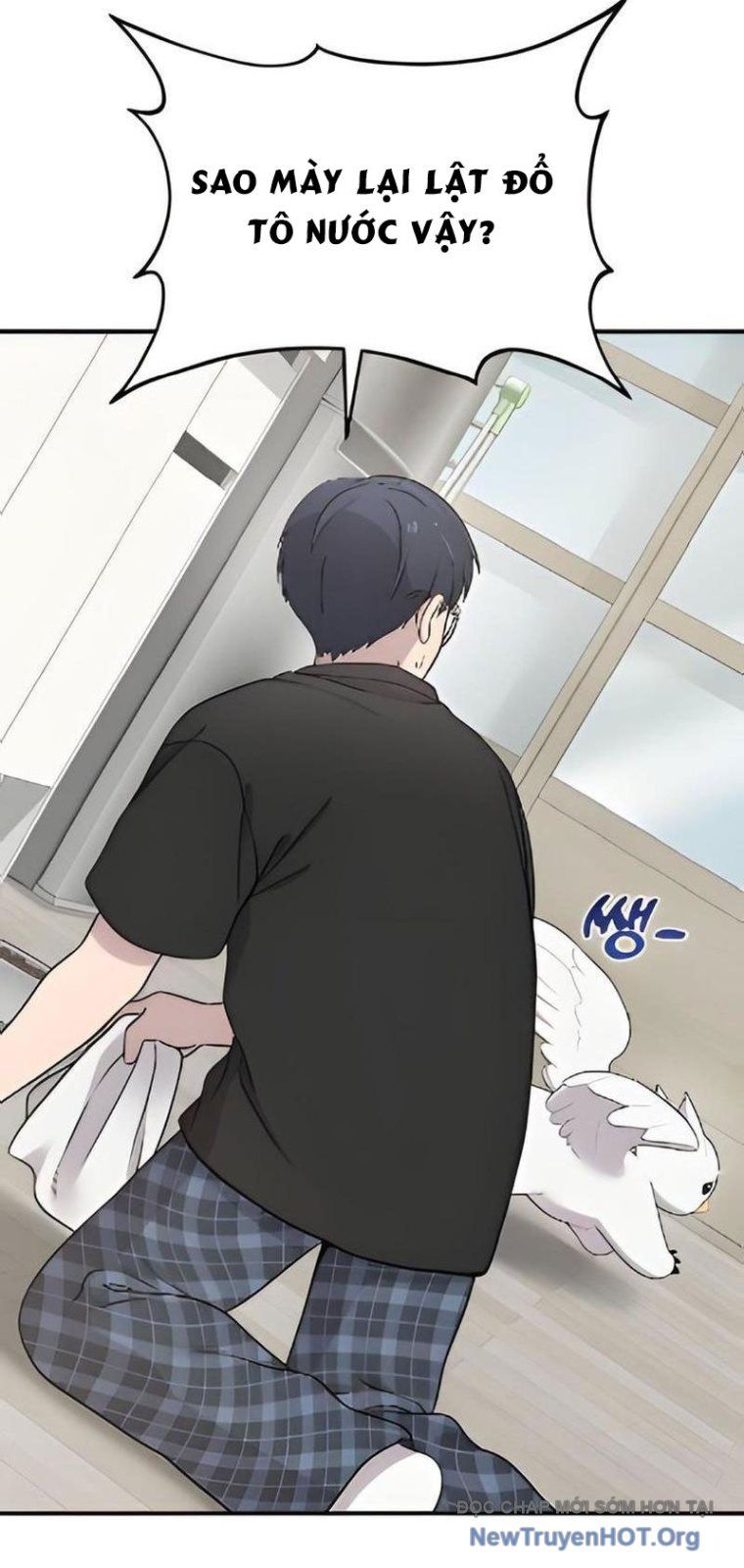 Chào Nhé, Chú Vẹt Mắt Tròn Griffin! Chap 2 - Next Chap 3