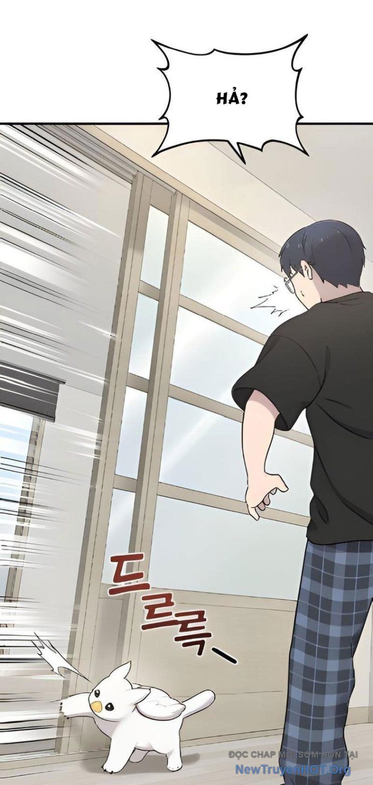 Chào Nhé, Chú Vẹt Mắt Tròn Griffin! Chap 2 - Next Chap 3
