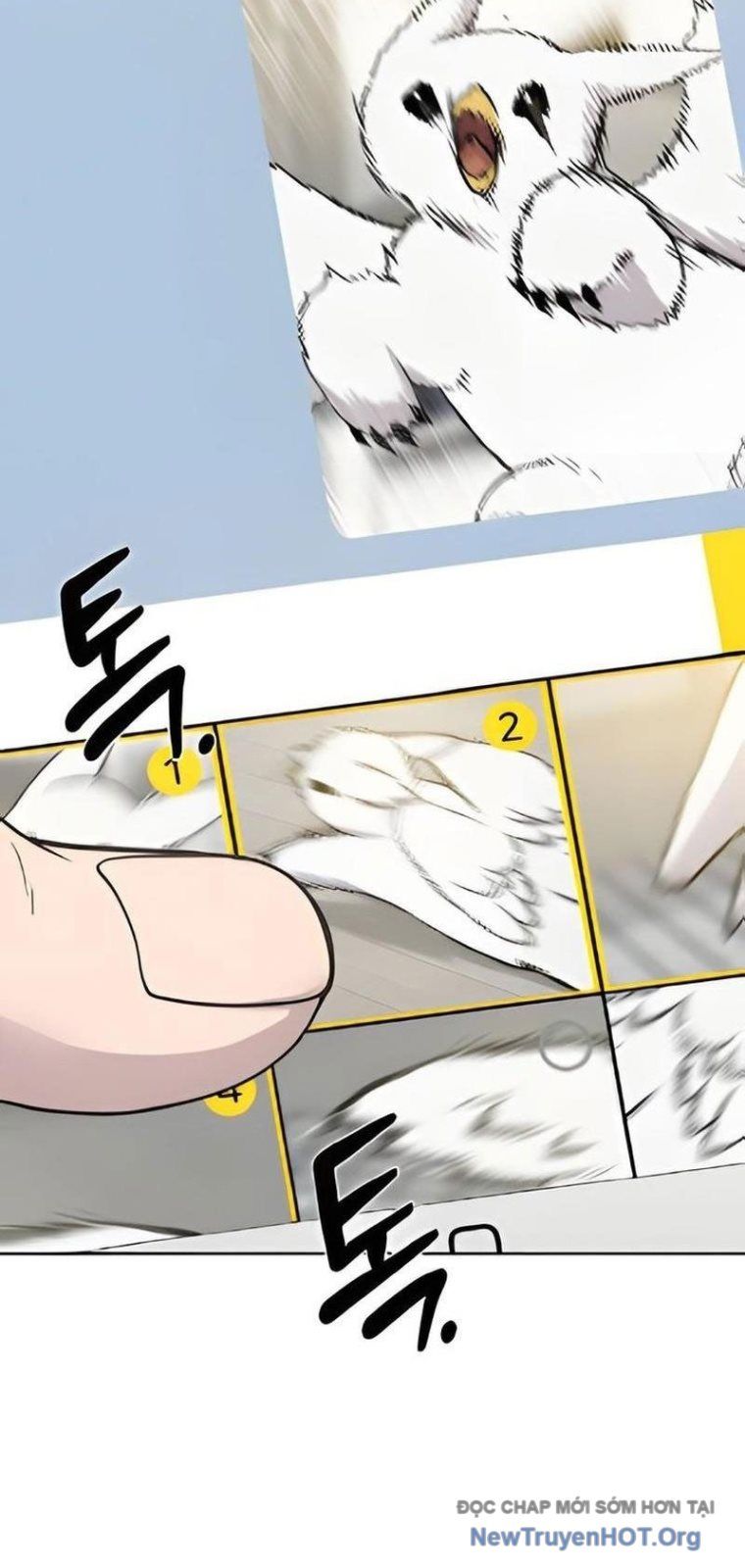 Chào Nhé, Chú Vẹt Mắt Tròn Griffin! Chap 3 - Next Chap 4