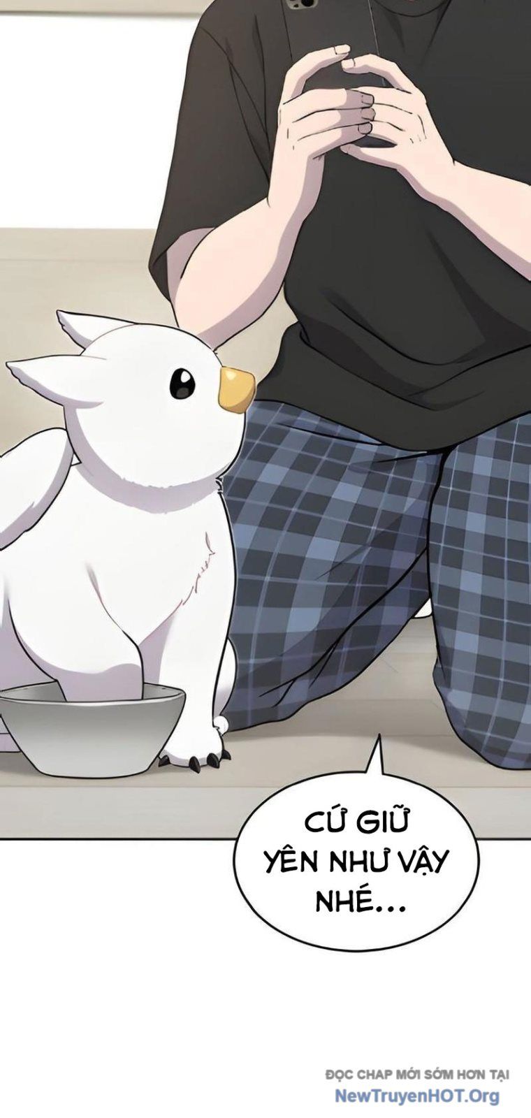 Chào Nhé, Chú Vẹt Mắt Tròn Griffin! Chap 3 - Next Chap 4
