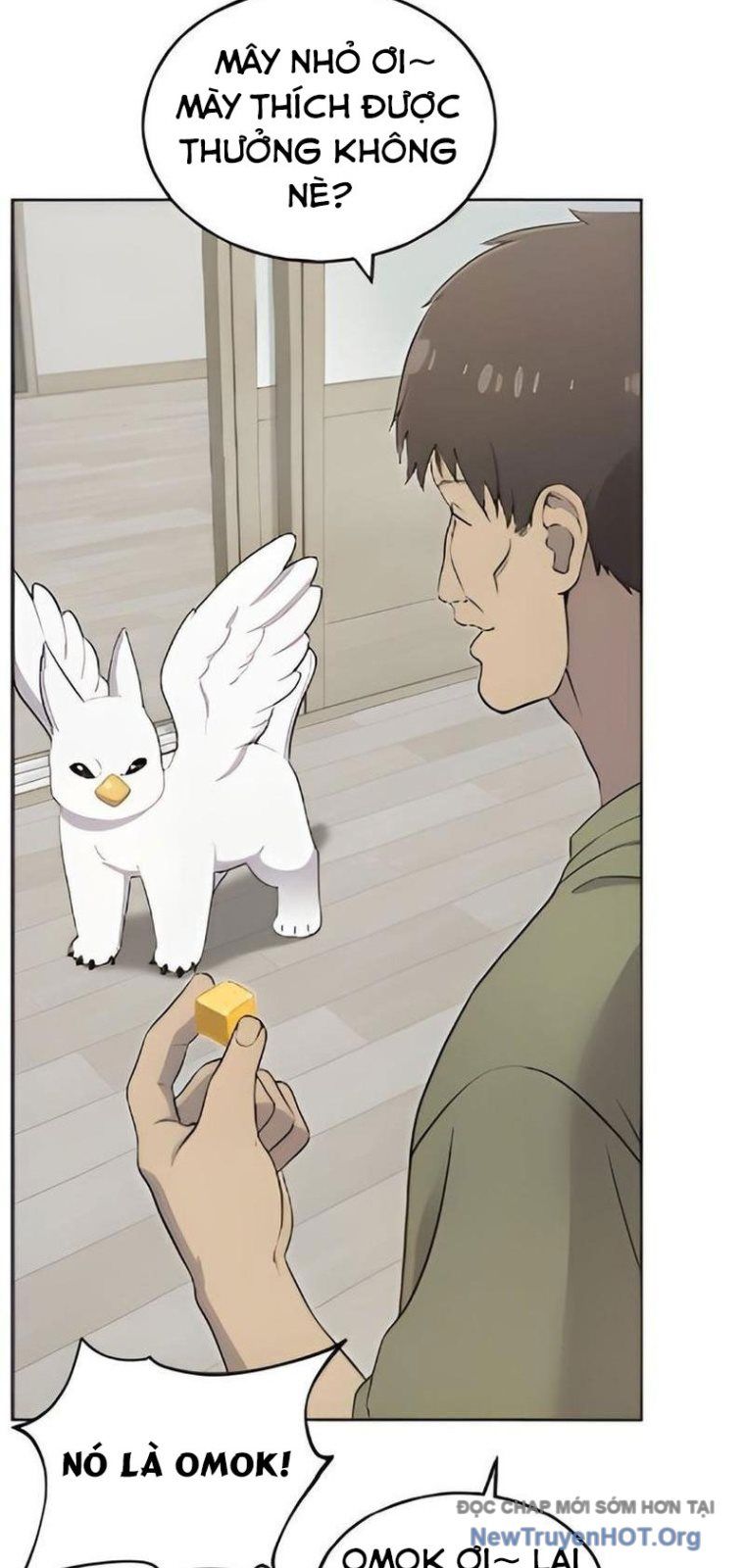 Chào Nhé, Chú Vẹt Mắt Tròn Griffin! Chap 3 - Next Chap 4