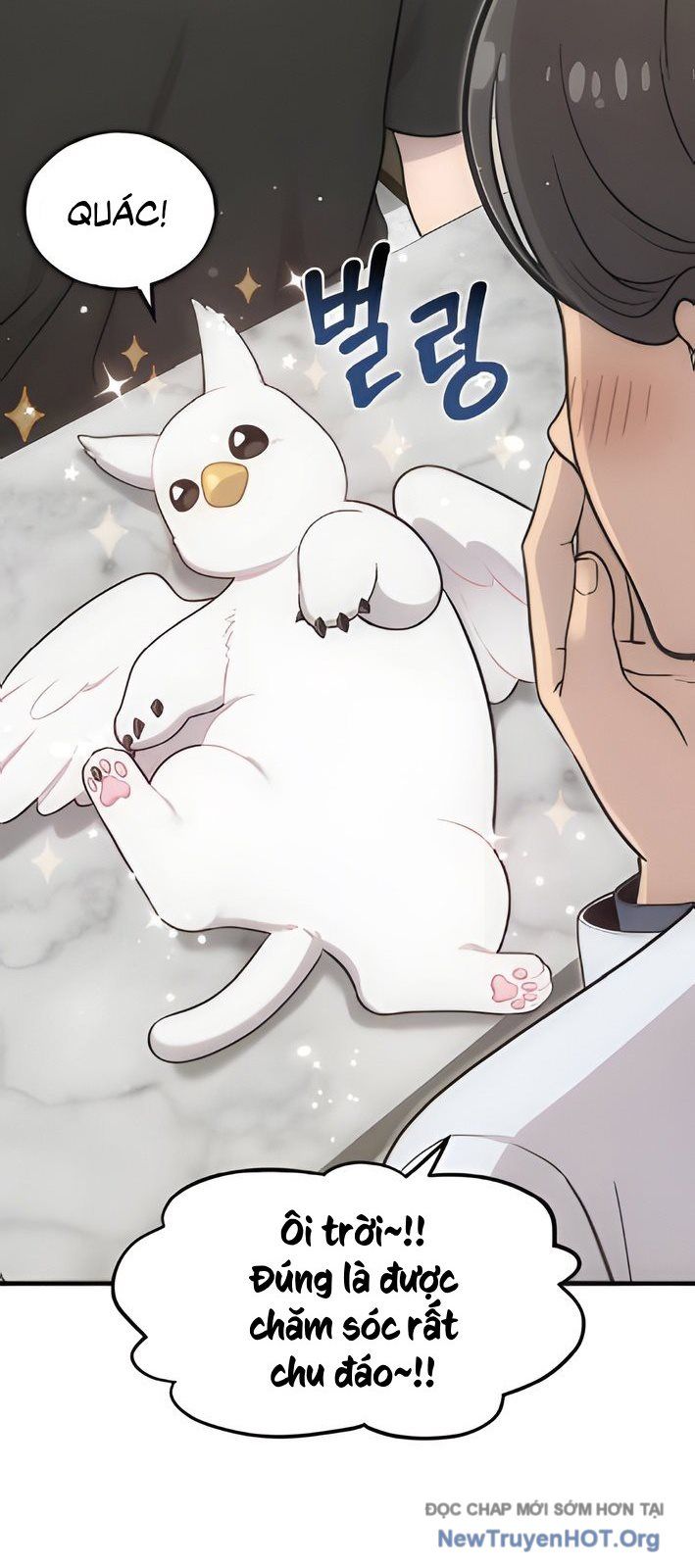Chào Nhé, Chú Vẹt Mắt Tròn Griffin! Chap 4 - Next Chap 5