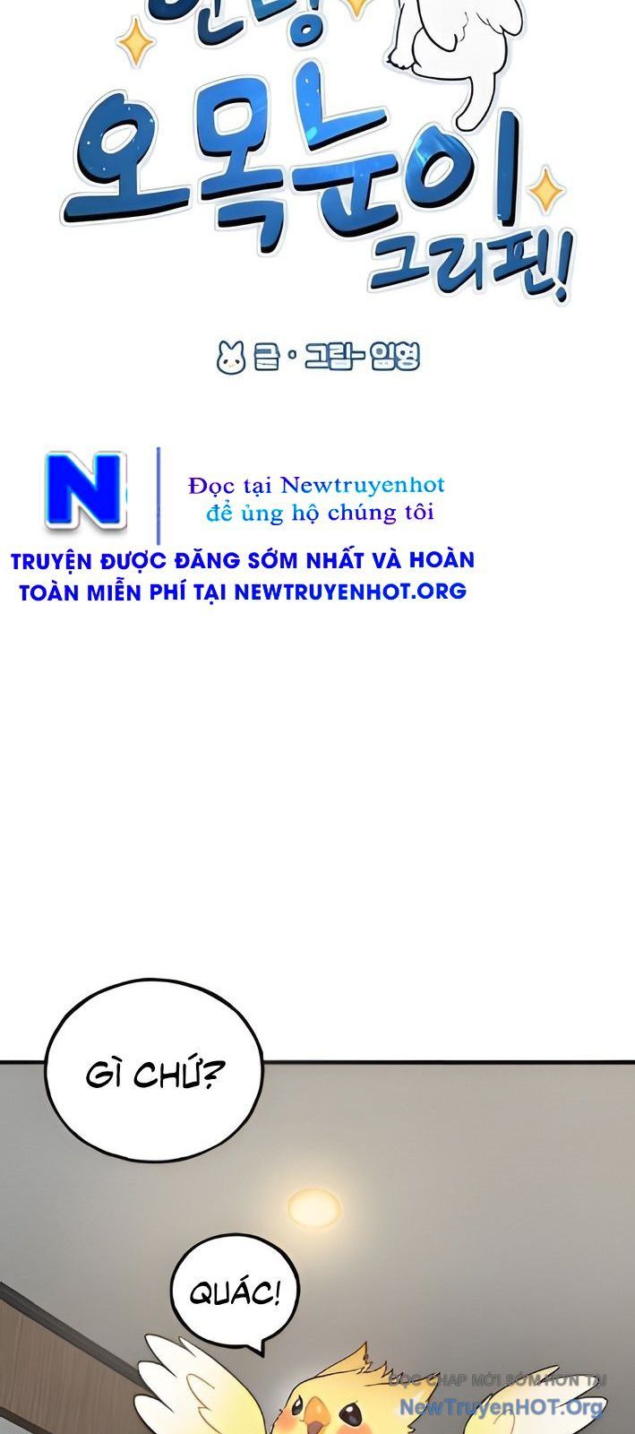 Chào Nhé, Chú Vẹt Mắt Tròn Griffin! Chap 4 - Next Chap 5