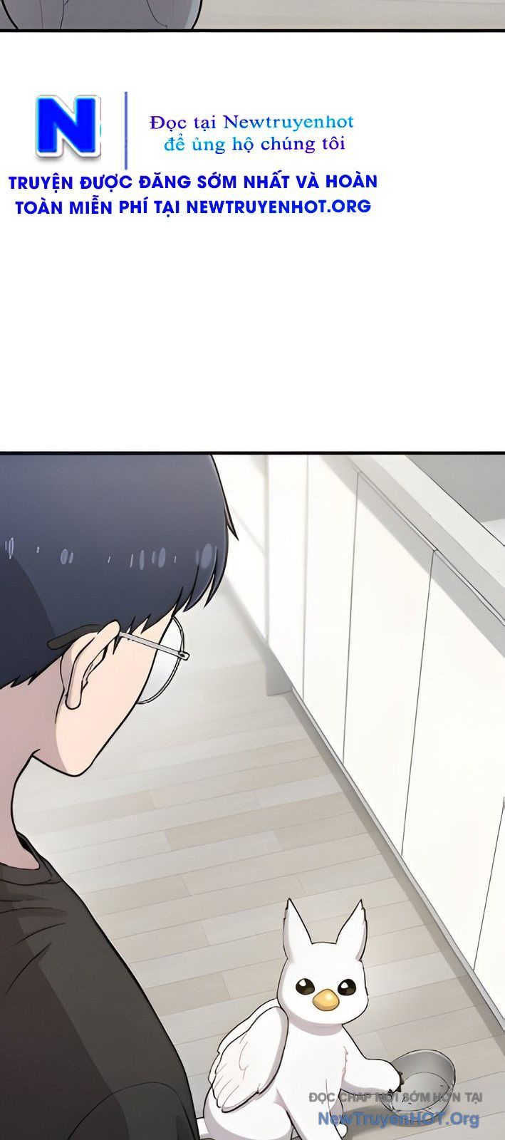 Chào Nhé, Chú Vẹt Mắt Tròn Griffin! Chap 4 - Next Chap 5