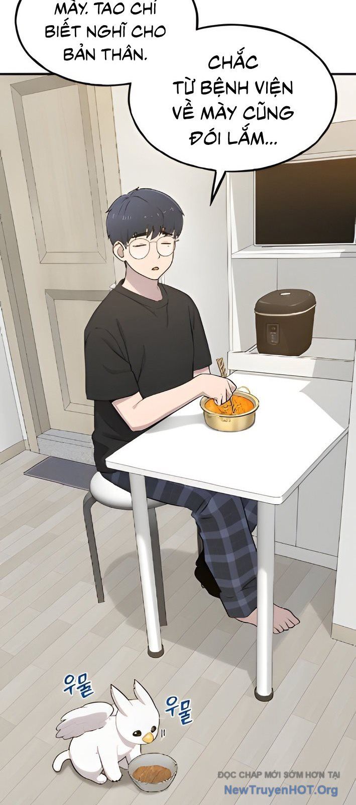 Chào Nhé, Chú Vẹt Mắt Tròn Griffin! Chap 4 - Next Chap 5