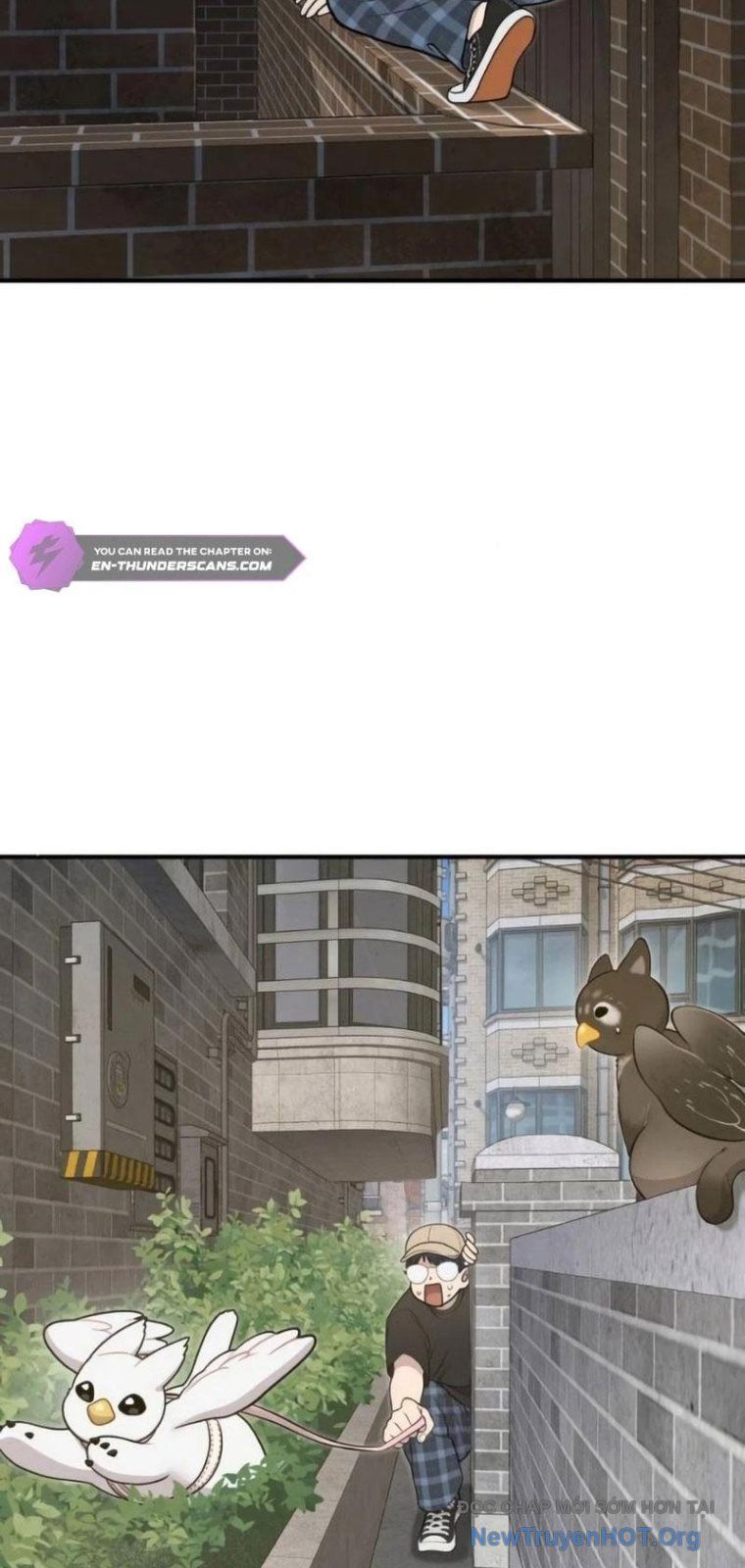 Chào Nhé, Chú Vẹt Mắt Tròn Griffin! Chap 6 - Next Chap 7