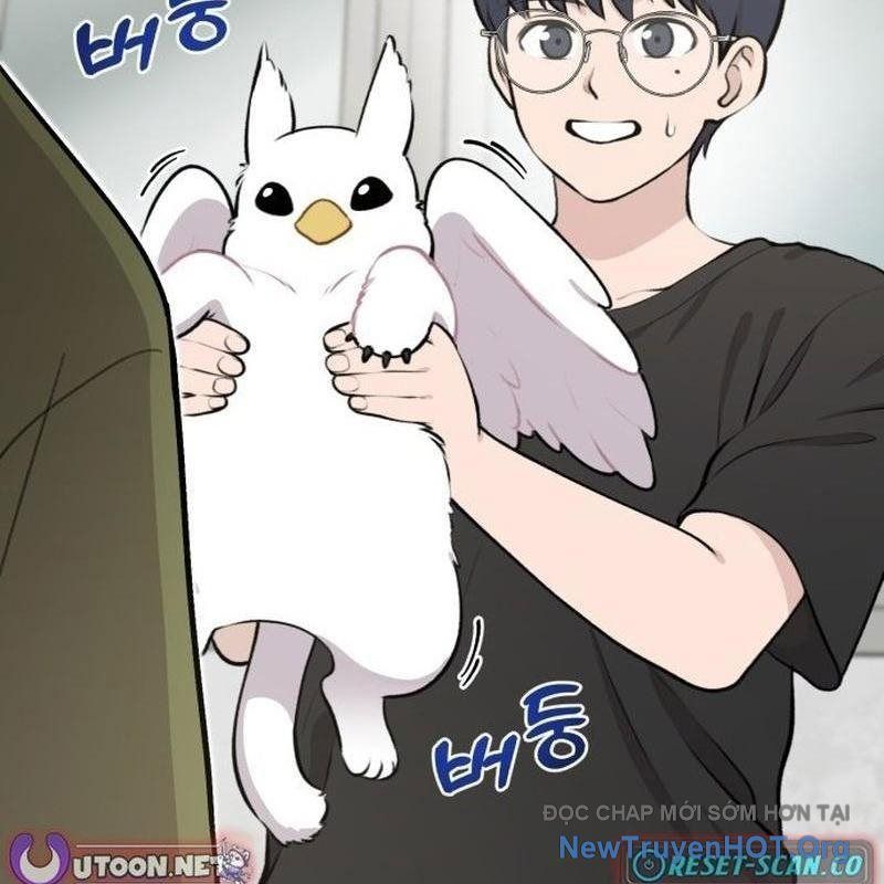 Chào Nhé, Griffin Mắt Tròn! Chap 1 - Next Chap 2